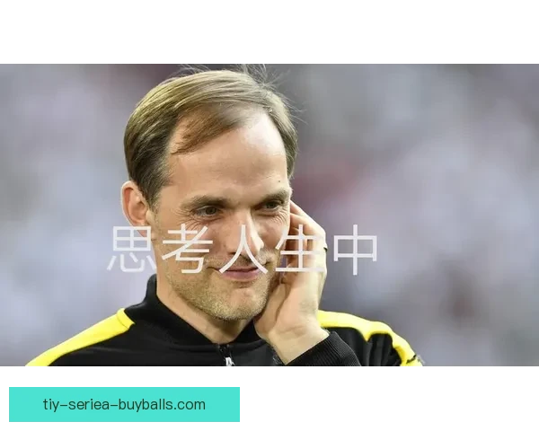 泰晤士图赫尔赞帕尔默却定位模糊