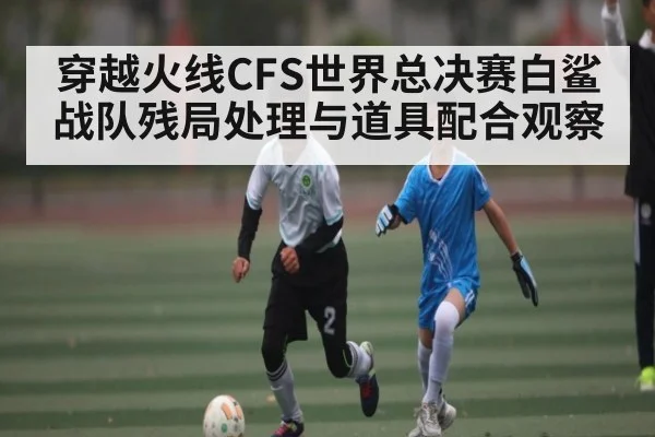 穿越火线CFS世界总决赛白鲨战队残局处理与道具配合观察