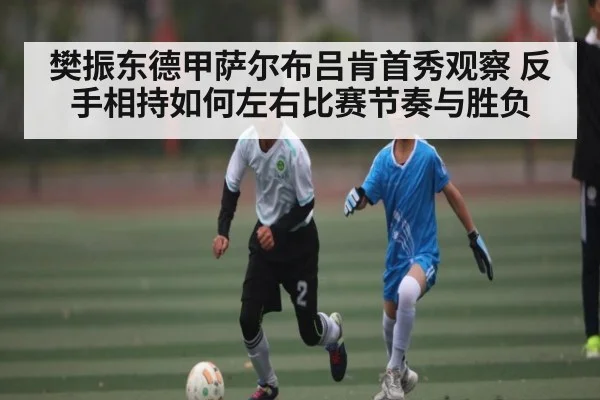 樊振东德甲萨尔布吕肯首秀观察 反手相持如何左右比赛节奏与胜负